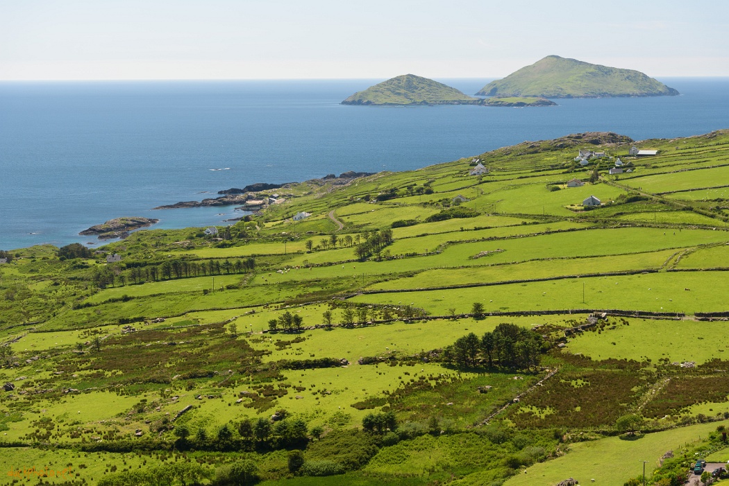 Sunny Ireland