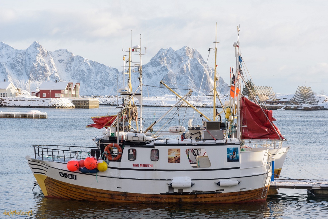 Iles Lofoten III - La vie dans la glace